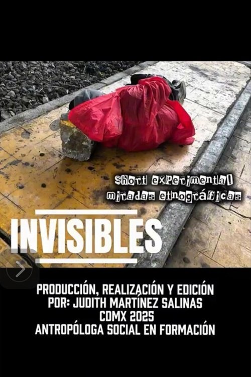 Invisibles poster