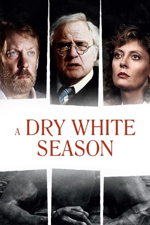 Grootschalige poster van A Dry White Season