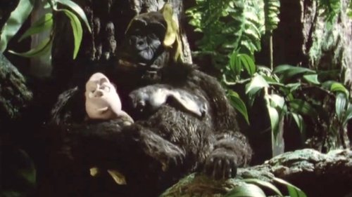 Image de l'épisode 6