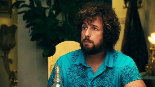 You Don’t Mess with the Zohan (2008)