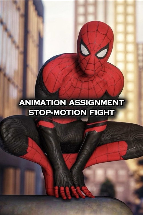 Animation Assignment: Stop-Motion Fight