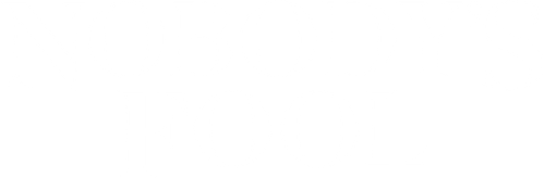Nobody's Fool Logo