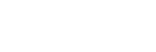 Ivy + Bean