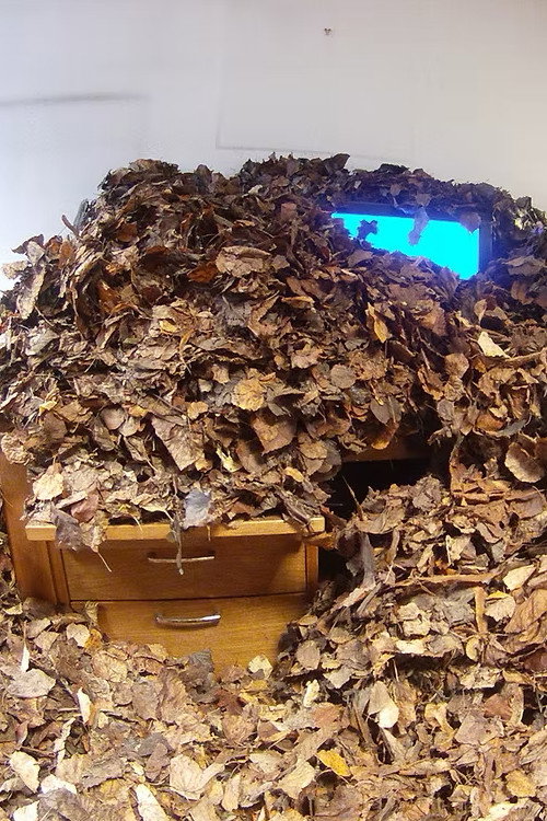 Attempt at going to work again