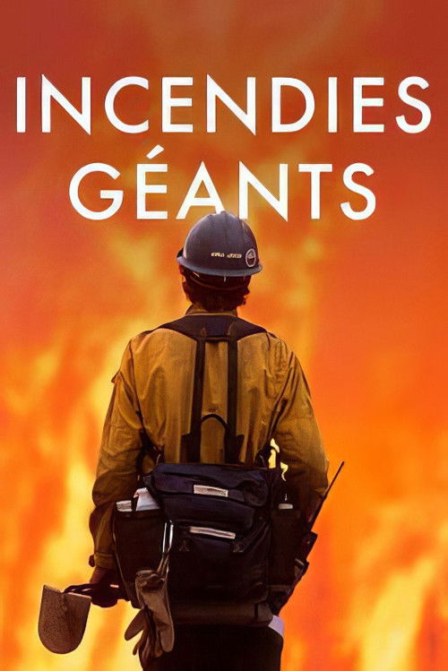 Megafires: The Global Threat poster