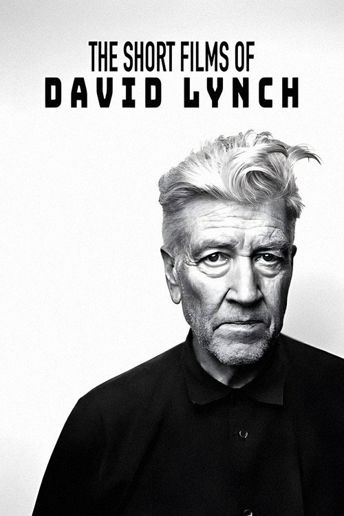 The Short Films of David Lynch