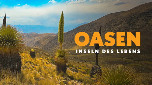 Oasen: Inseln des Lebens Bild 2