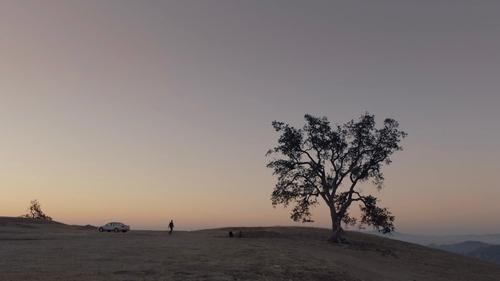 Backdrops