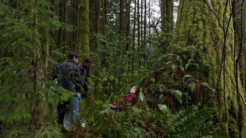 Grimm: Contos de Terror: 1×21