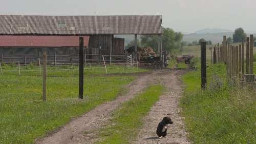 Image de l'épisode 6