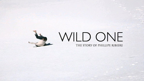 Wild One Backdrop Blur