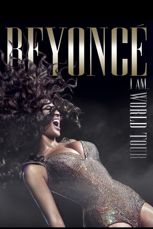 Beyoncé : I Am... World Tour 2010