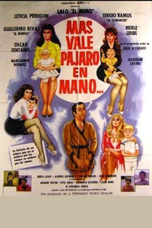 Poster do filme Más vale pájaro en mano