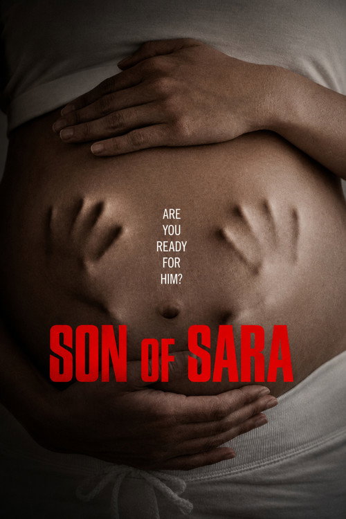 Son of Sara: Volume 1 (2025) Dual Audio {Hindi-English} WEB-DL 480p [340MB] | 720p [800MB] | 1080p [1.7GB]