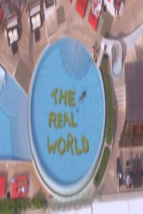 The Real World, S22 - (2009)