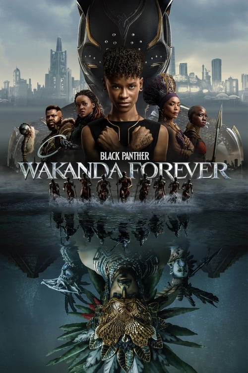 Black Panther Wakanda Forever IMAX 3D Movie Poster