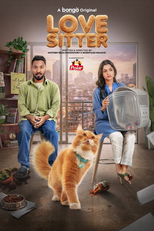 Love Sitter poster