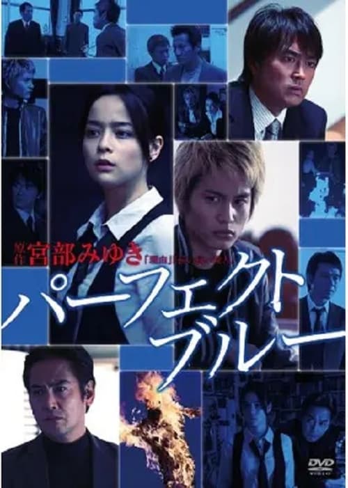 完美的蓝 (2010)