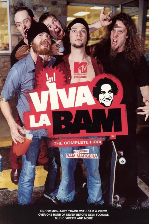 Poster Viva La Bam