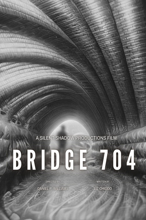 Bridge 704 poster