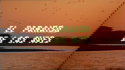 Épisode 14