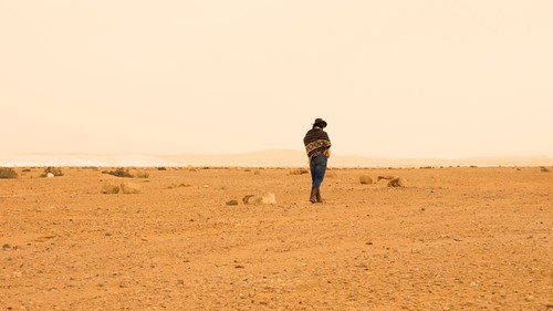Dust to Dusk Backdrop Blur