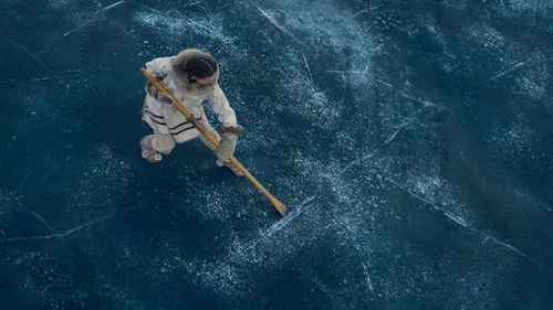 O Chamado da Floresta