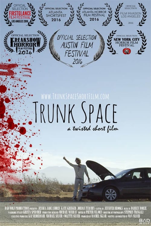Poster do filme Trunk Space