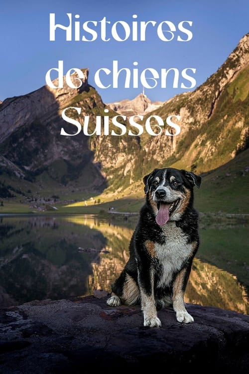 Poster Histoires de chiens suisses