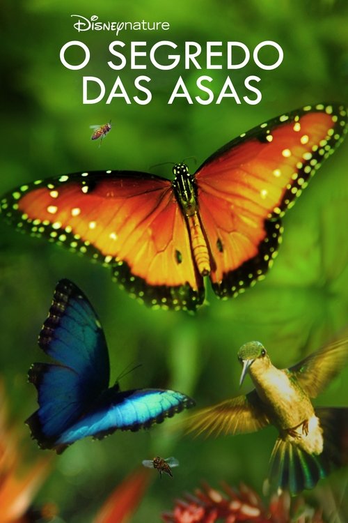 Pôster de Asas da Vida