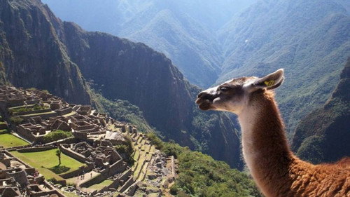 En busca de la ciudad perdida Backdrop Blur