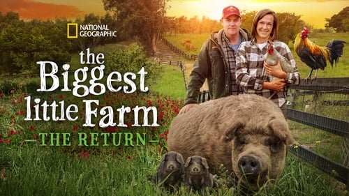 The Biggest Little Farm: The Return Putlocker Available in HD Streaming Online Free