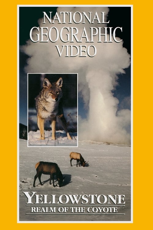 Yellowstone: Realm of the Coyote 1995