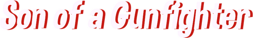 Son of a Gunfighter