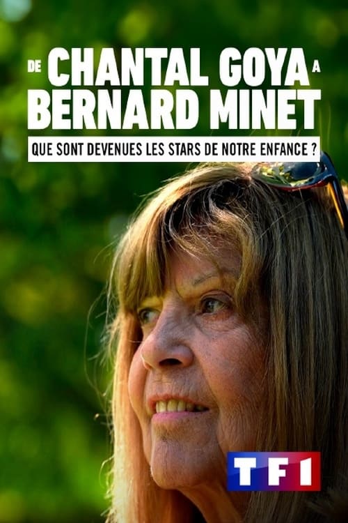 Poster De Chantal Goya à Bernard Minet : Que sont devenues les stars de notre enfance ? 2023