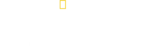 Segredos dos Pinguins