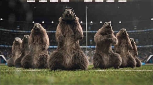 Rugby