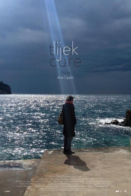The Cure (2018) poster