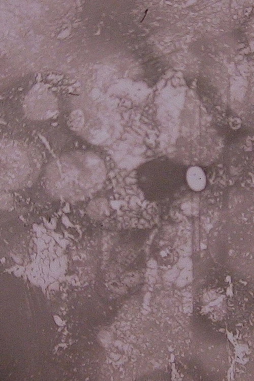 on the moon