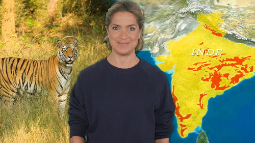 Biodiversity Conference: Can Wildlife Still Be Saved?