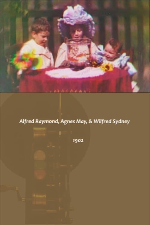 Alfred Raymond, Agnes May, & Wilfred Sydney (1902)
