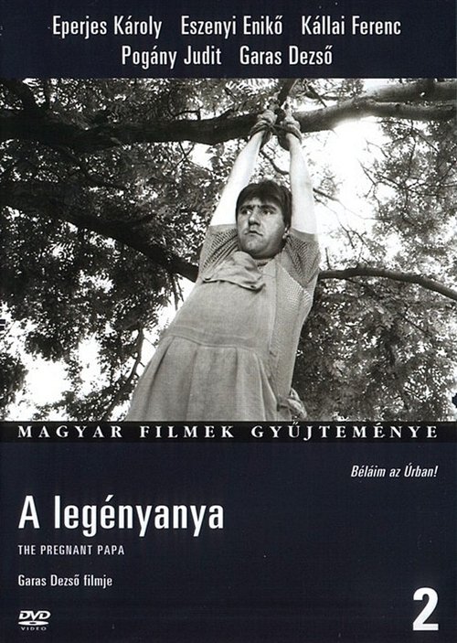 Poster A legényanya 1989