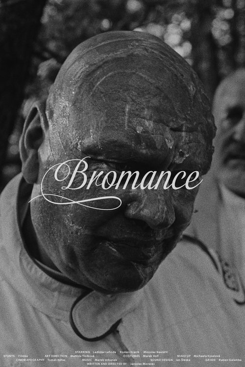 Bromance (2021) poster