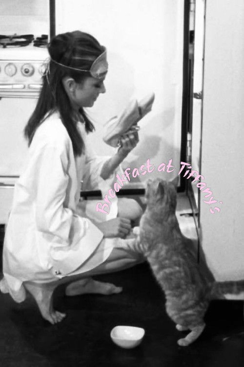 Breakfast at Tiffany's