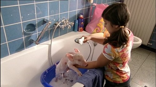 Image de l'épisode 6