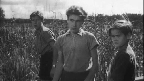 Rauch über der Insel - Eine Feriengeschichte