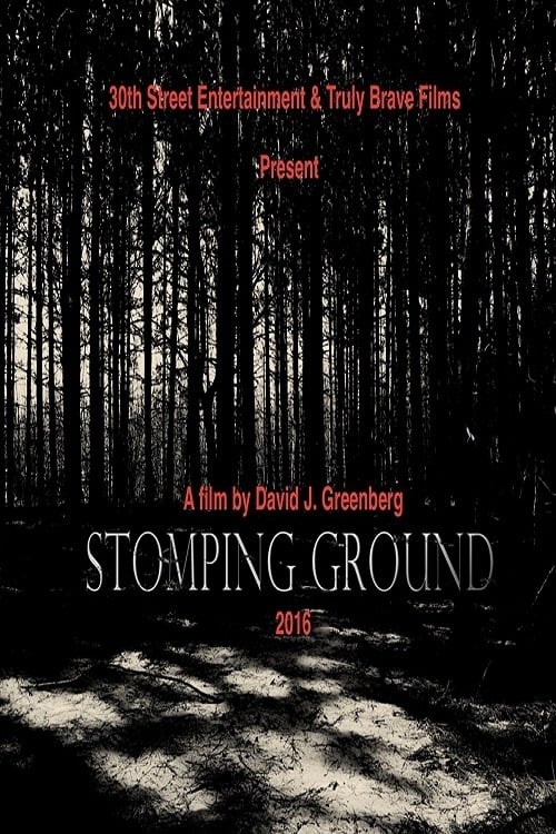 Stomping Ground poster