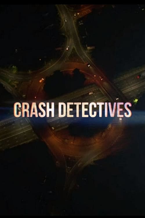 |EN| The Crash Detectives