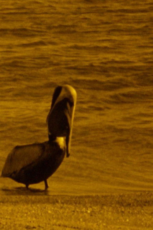 A Preponderance of Evidence (1989)