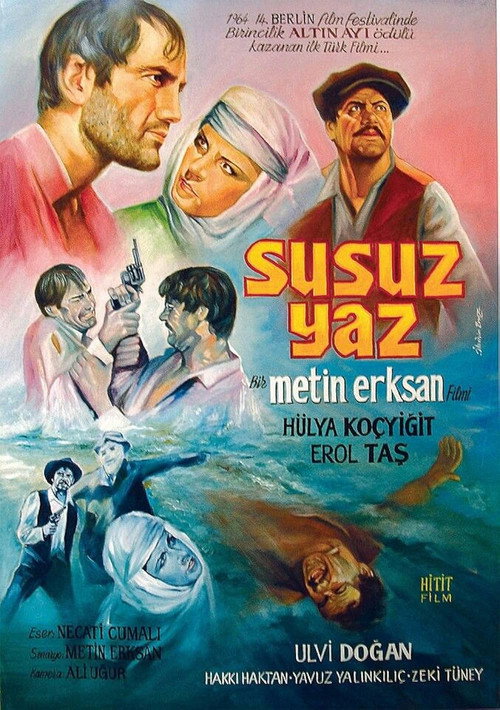 Dry Summer poster